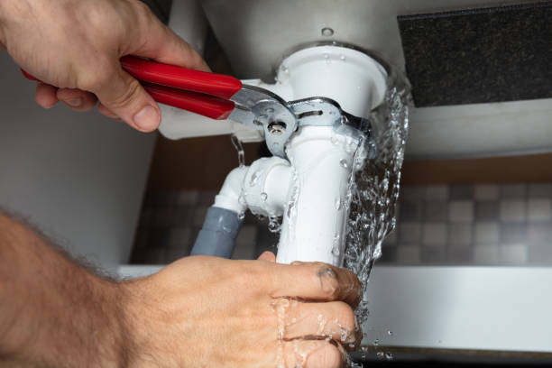 Best Professional water damage repair  in Almedia, PA