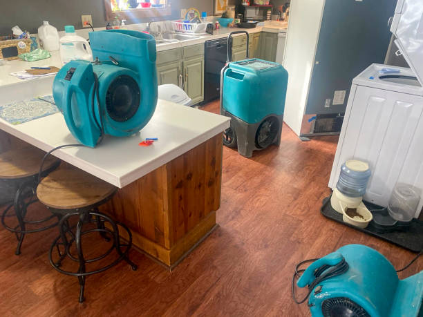 Best 24-hour water damage restoration  in Almedia, PA