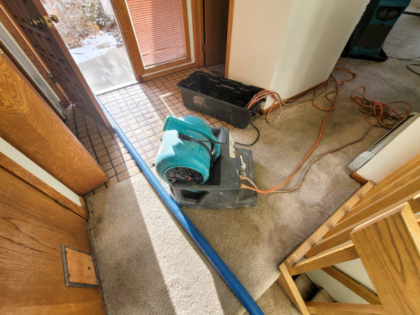 Best Commercial water damage restoration  in Almedia, PA