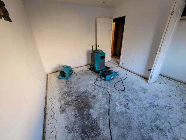 Best Local water damage restoration  in Almedia, PA