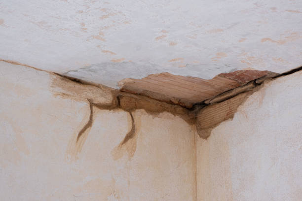  Almedia, PA Water damage restoration Pros