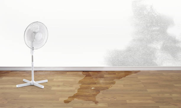 Best Fire Damage Restoration  in Almedia, PA
