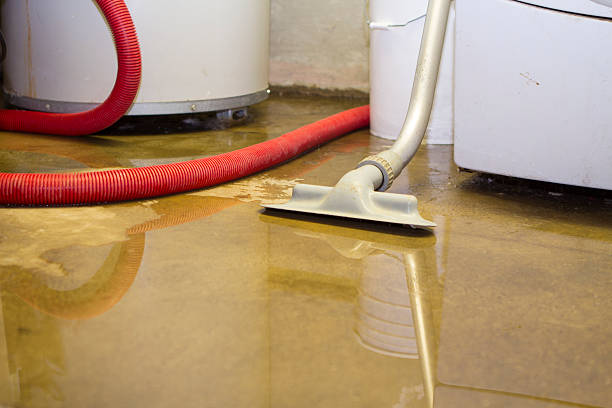 Best Local water damage restoration  in Almedia, PA