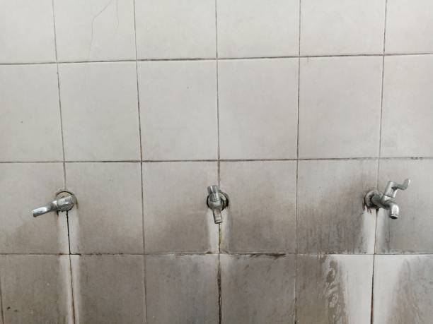 Best Basement water damage restoration  in Almedia, PA