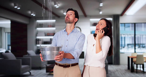 Best Water damage contractors near me  in Almedia, PA